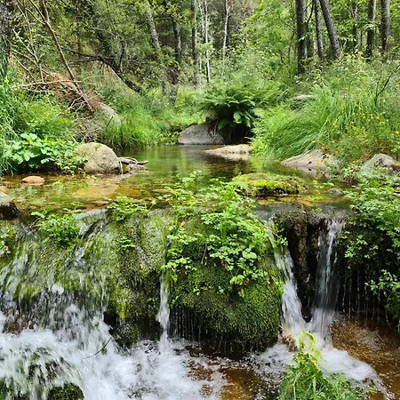 El Cervunal
